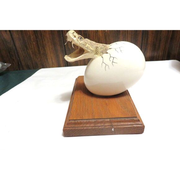 RARE VINTAGE TAXIDERMY SMALL RATTLESNAKE HEAD BURSTING OUT OF A CERAMIC EGG - Picture 1 of 7